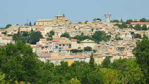 Enlèvement arbre urgence Draguignan